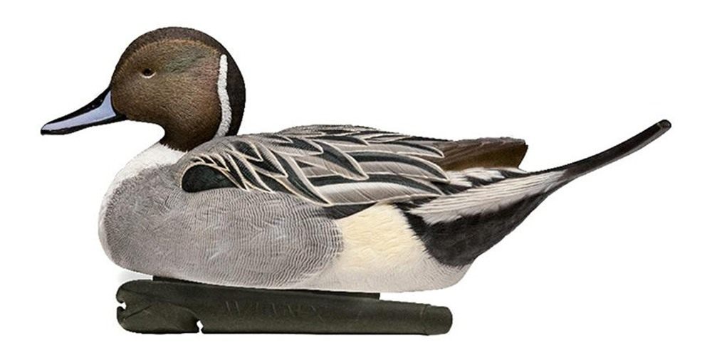Avian X Topflight Pintail Decoys, Rugged Realistic Floating Duck for Huntin