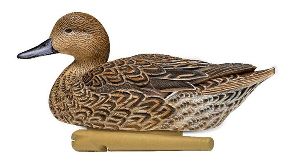Avian X Topflight Pintail Decoys, Rugged Realistic Floating Duck for Huntin view 3