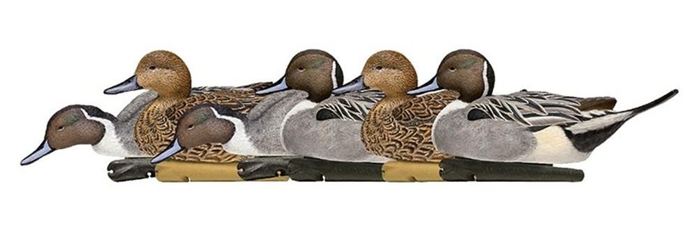 Avian X Topflight Pintail Decoys, Rugged Realistic Floating Duck for Huntin view 4