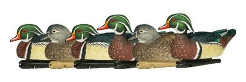 Avian X Topflight Pintail Decoys, Rugged Realistic Floating Duck for Huntin