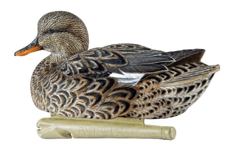 Avian X Topflight Gadwall Decoys Perfectly Replicated Late Season Gray Duck