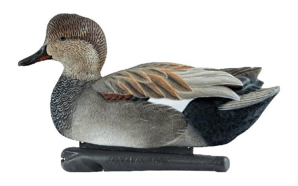 Avian X Topflight Gadwall Decoys Perfectly Replicated Late Season Gray Duck view 2