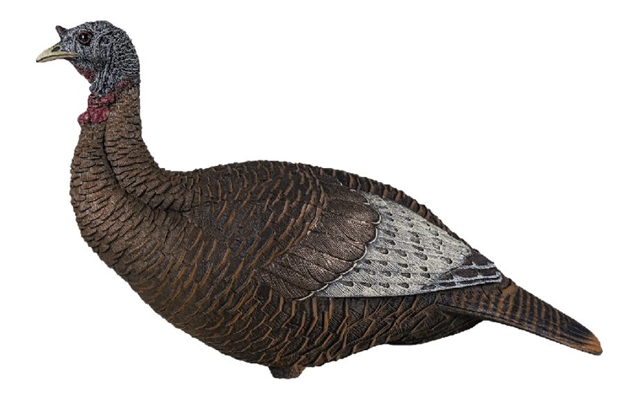 Avian X Flextone Thunder Chick Upright Hen Decoy W/stake