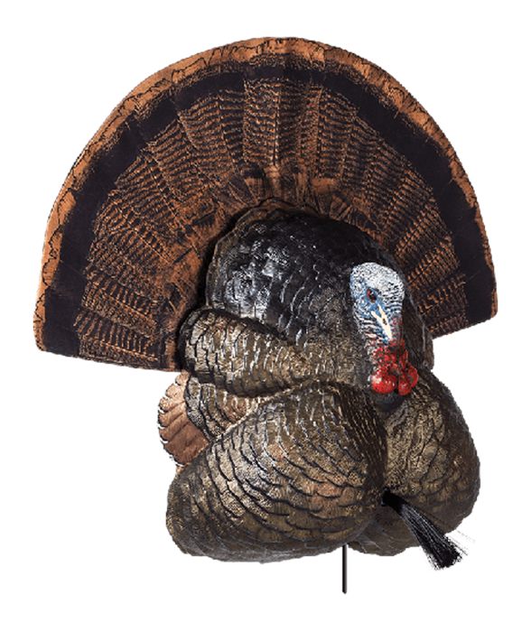 Avian X Flextone Thunder Creeper Strutter Decoy W/ Folding Fan