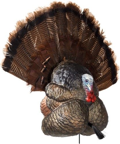 Avian X Flextone Thunder Creeper Strutter Decoy W/ Folding Fan view 2