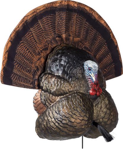 Avian X Flextone Thunder Creeper Strutter Decoy W/ Folding Fan view 3