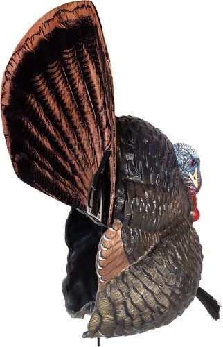 Avian X Flextone Thunder Creeper Strutter Decoy W/ Folding Fan view 5