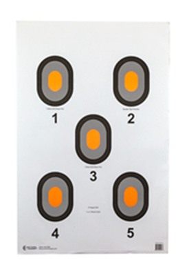 Action Target TGT ORG Center 5 Blseye 100PK