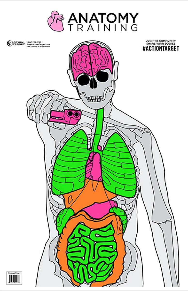 Action Target GSANATOMY100 Entertainment Training Silhouette/Vitals Paper 2