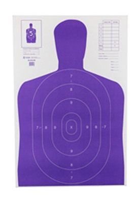 Action Target TGT Hivis Flor PRP B27E 100PK