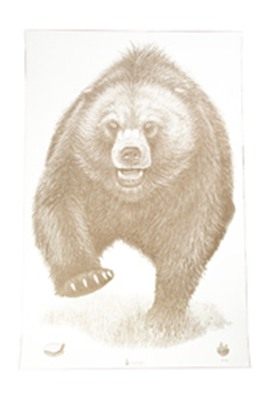 Action Target TGT AK State Park Bear 100PK