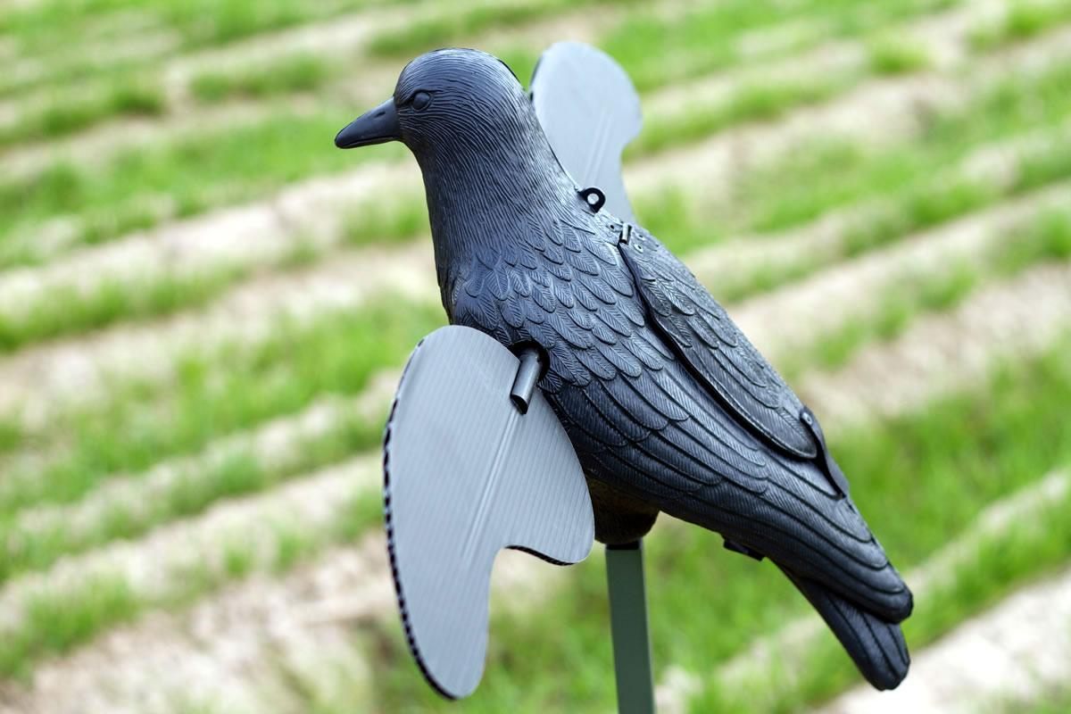 Huntwise dba Mojo Outdoors Crow Spinning Wing Decoy W/ Built IN ON/OFF Time