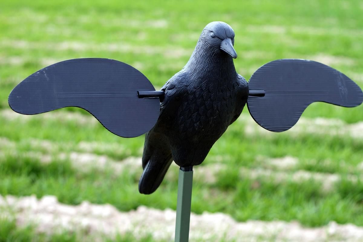 Huntwise dba Mojo Outdoors Crow Spinning Wing Decoy W/ Built IN ON/OFF Time view 2