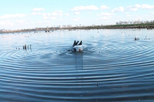 Mojo Outdoors Butt Up Rippler, Mallard view 5