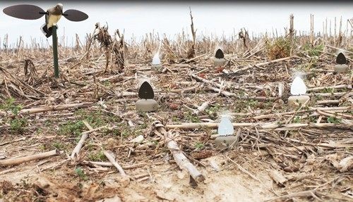 Mojo Outdoors Dove-A-Flicker Spinning Wing Decoys for Hunting, 4 Pack view 3