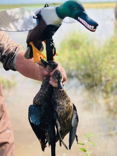 Mojo Outdoors HW2490 Elite Series Spoonzilla Duck Species Multi Color Molde view 2