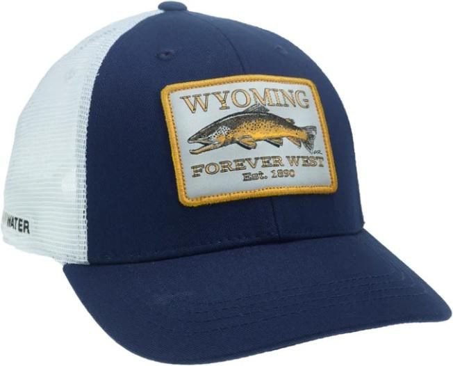 Wild Ryw Wyoming Artist's Reserve Hat Nvy/wht Standard Fit