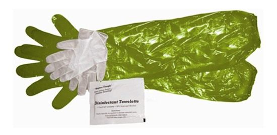HME Game Cleaning Gloves (Pack of 4) | Disposable Shoulder-Length Field Dre view 3
