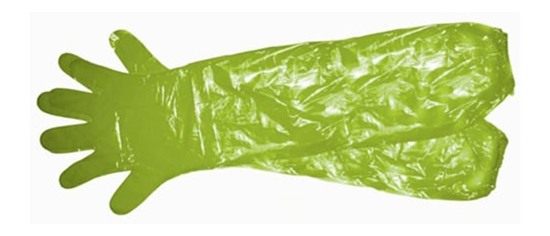 HME Single Game Cleaning Gloves (1 Pair) Disposable Shoulder-Length Field D view 3