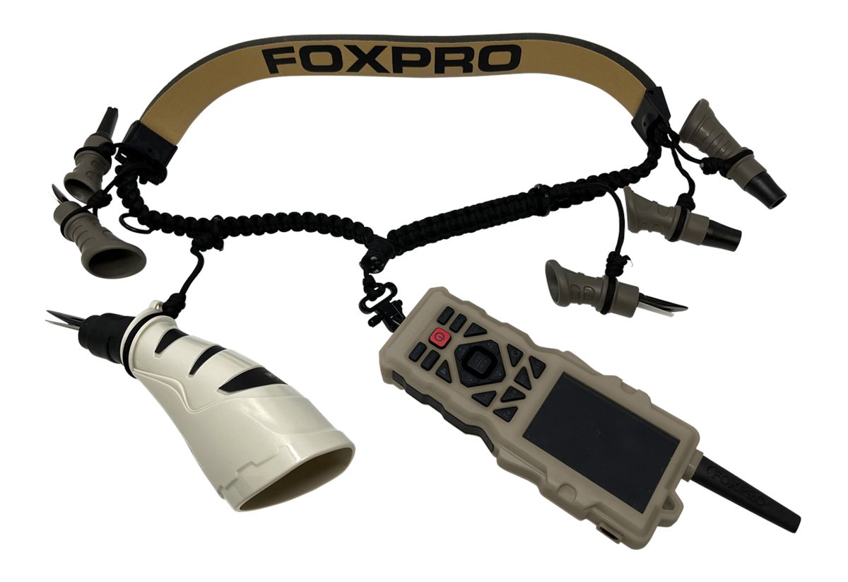 Foxpro FXD8 LAN XD8 Black/Tan Paracord