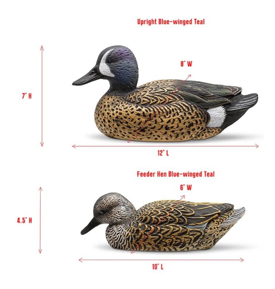 AdvenTec dba Rig Em Outdoors Mainline Series Blue-Winged Teal Duck Decoy 12 view 3