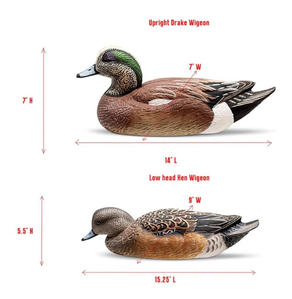 AdvenTec dba Rig Em Outdoors Mainline Series Wigeon Duck Decoy 6/ct