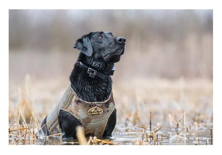 Rig Em Waterfowl Bloodline Elite Dog Vest for Duck Hunting with Ultra Comfo view 2
