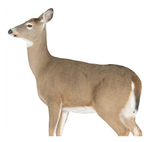 Montana Decoy 23 Dreamy Doe Whitetail Brown view 2