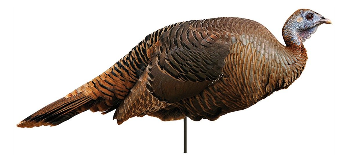 Montana Decoy Spring Fling by
