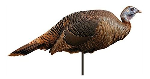 Montana Decoy Spring Fling by view 3