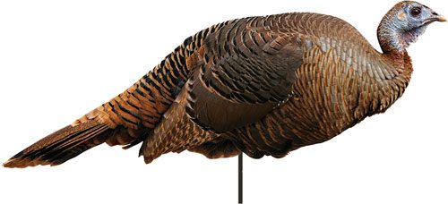 Montana Decoy Spring Fling by view 4
