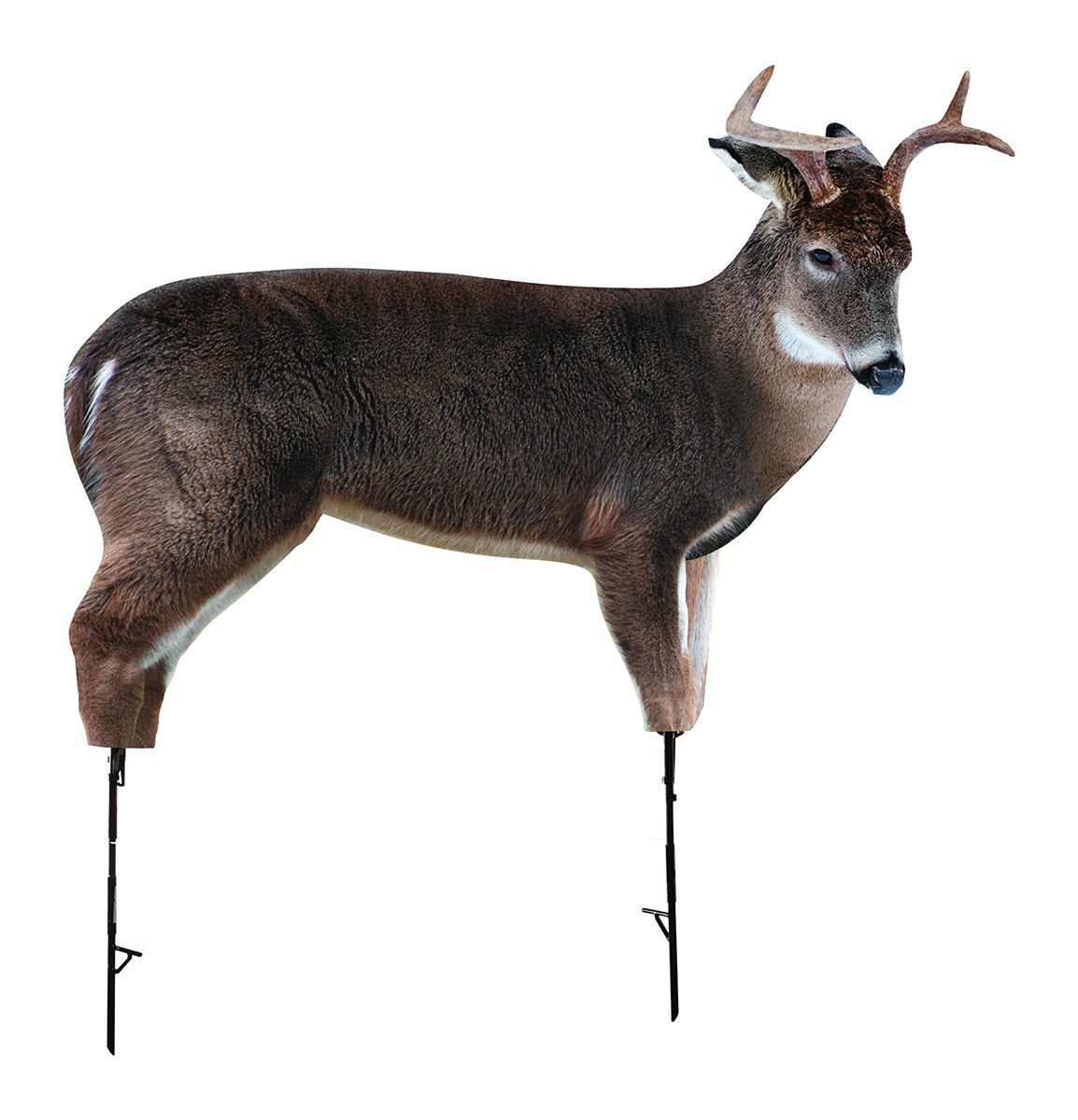 Montana Decoy The Freshman (Whitetail Buck) by