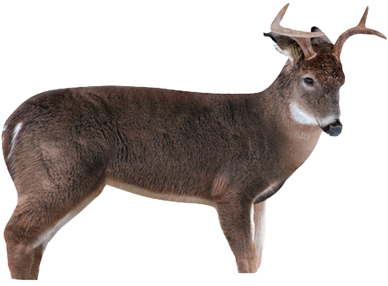 Montana Decoy The Freshman (Whitetail Buck) by view 2