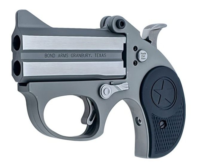 Bond Arms BASRS Stinger 9mm Luger 2rd 2.5in Matte Stainless Steel Double Ba view 2