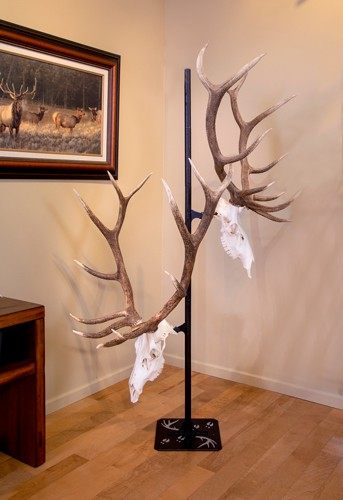 SKULL HOOKER TROPHY TREE W/ 5 BRACKETS CUSTOMIZABLE DISPLAY view 3