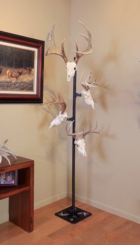 SKULL HOOKER TROPHY TREE W/ 5 BRACKETS CUSTOMIZABLE DISPLAY view 6