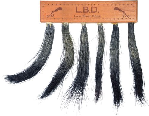 Pittman 701 Preston Hunting Turkey Long Beard Display