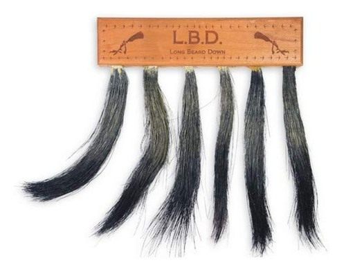 Pittman 701 Preston Hunting Turkey Long Beard Display view 2