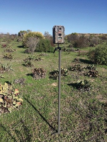 GSM Outdoors Stealth Cam STCCAMSTICK Stick Tripod Mount 270 degree Brown St view 2