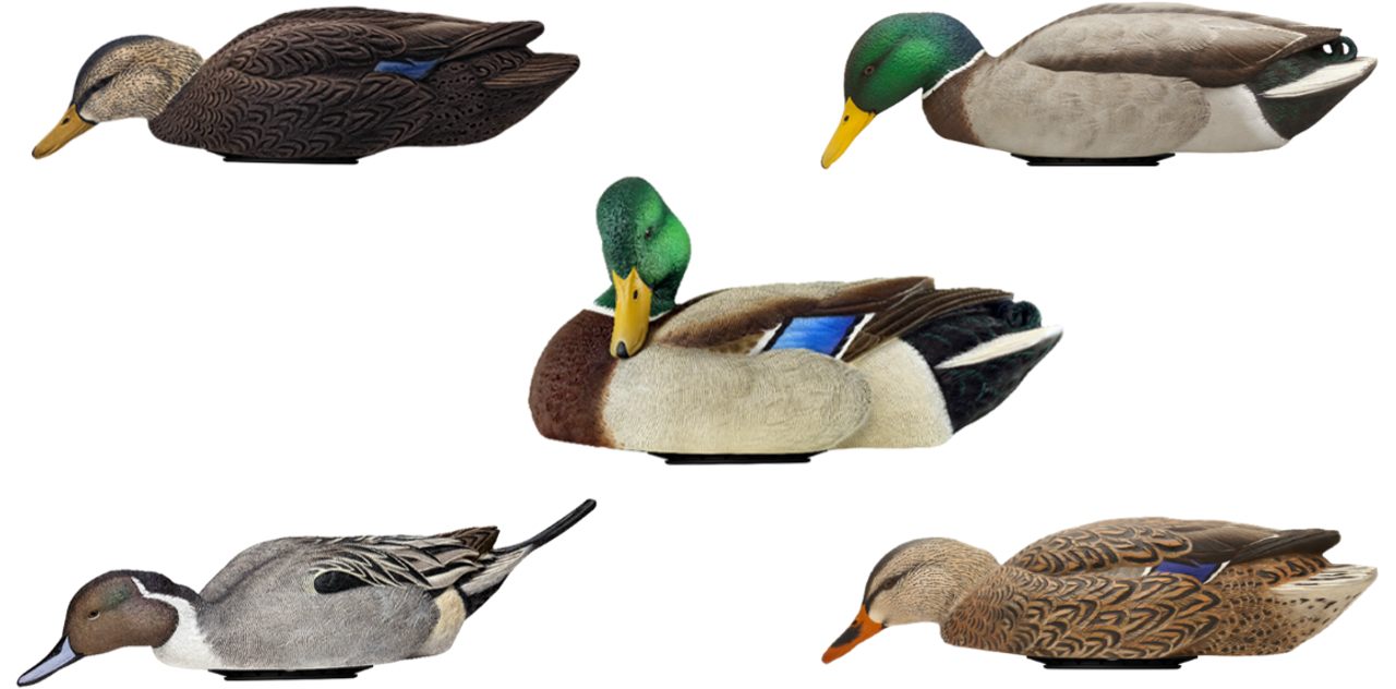 Avian X Power Swimmer Mallard Drake Motion Duck Decoy view 2