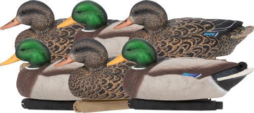 Zink Floater Mallard Decoys | 6-Pack Life-Size Floating for Duck Hunting | view 2