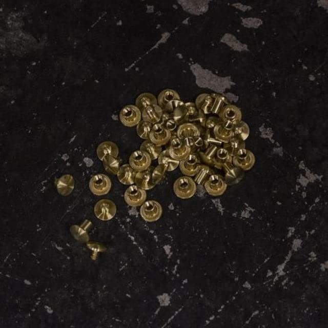 GrovTec 24 Brass Chicago Screws