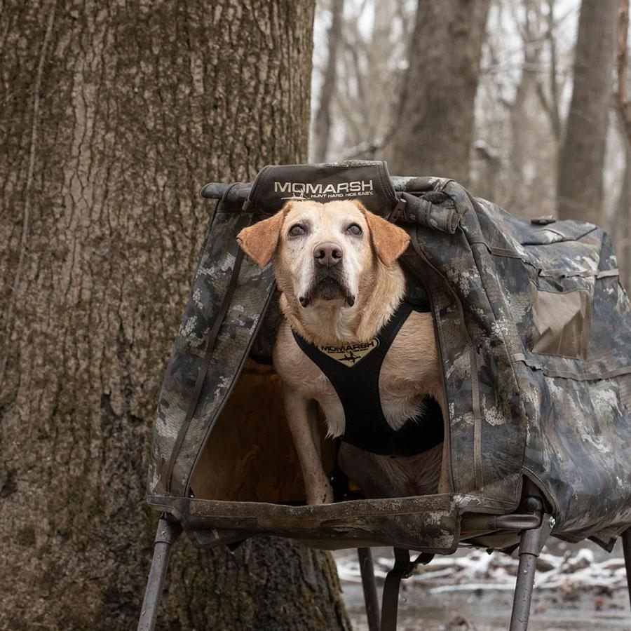Higdon Outdoors MOmarsh 34018 Invisi-Lab Dog Blind Optifade Marsh view 5