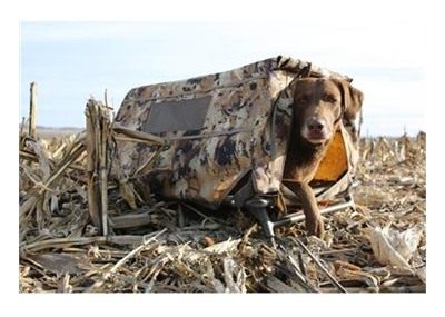 Higdon Outdoors MOmarsh Field House LP - Optifade Marsh