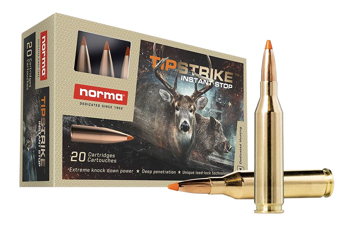 Norma Precision Ammunition 20160052 Dedicated Hunting Tipstrike 243 Win 76g