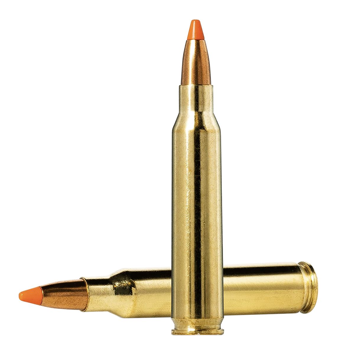 Norma Ammunition 20157352 Dedicated Hunting Varmint 223 Rem 55gr Polymer Ti