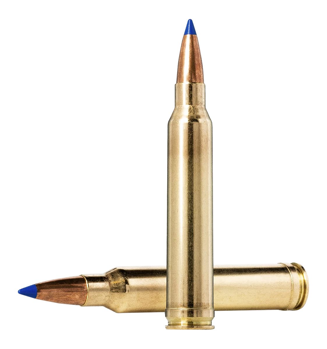 Norma Precision Ammunition 20166452 Dedicated Hunting Bondstrike 6.5PRC 143